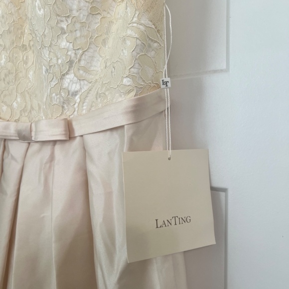 Mother of the Groom Dress A-Line Empire Elegant Wedding Guest Form Evening Dress - Picture 6 of 9